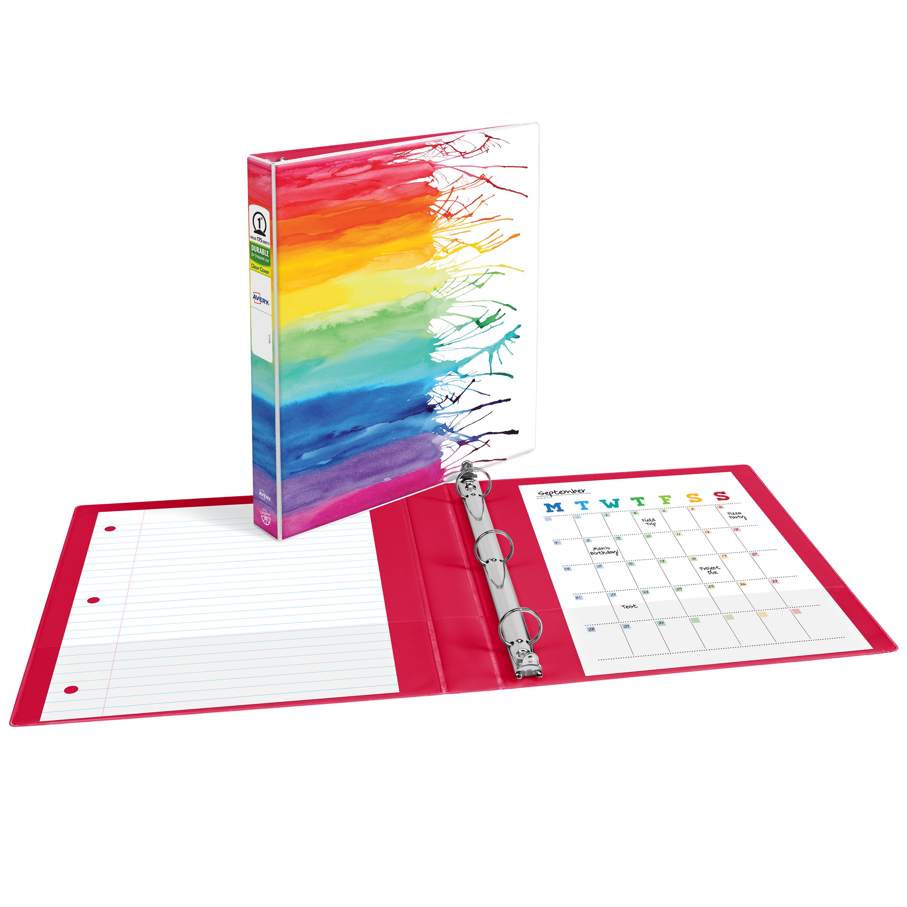 Amy Tangerine Binder, 1